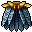 Calopteryx Cape
